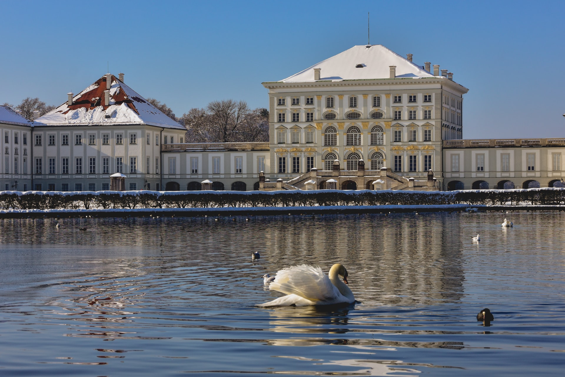 Palace in wintertime at a lake with swans.